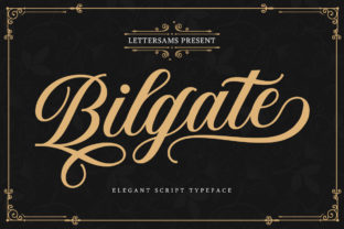 Bilgate: A Handwritten Font for Digital Elegance