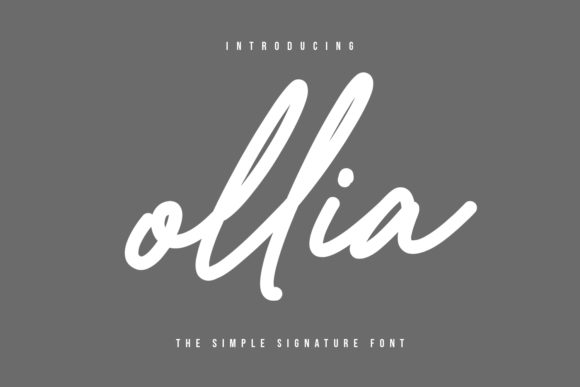 How Ollia Font Transformed My Brand’s Visual Identity