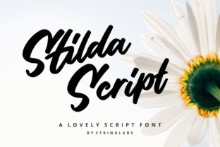 Stilda: A Quirky Script Font That Elevates Branding